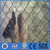 Green diamond rabbit proof fence new product launch in china