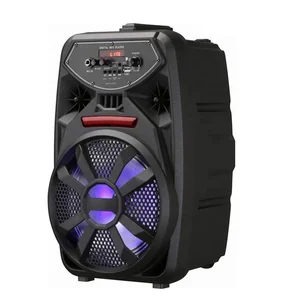 8 Inch Portable 10W Rechargeable Speaker