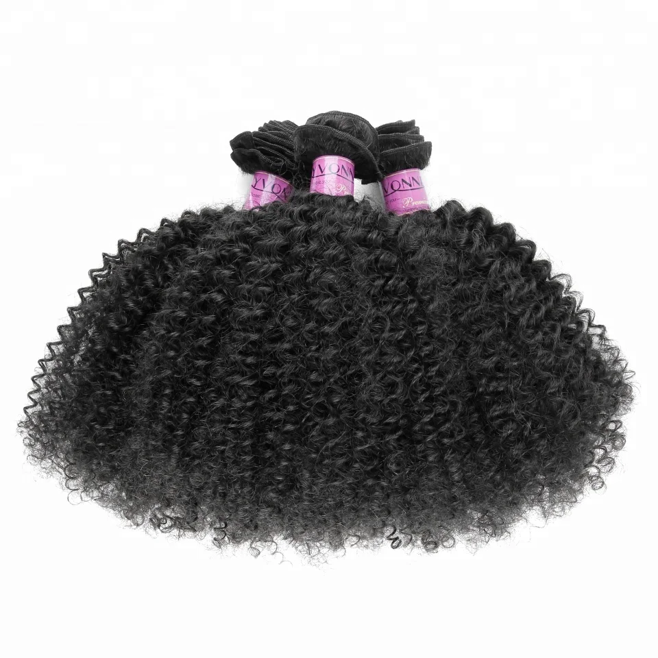 

Hot seller brazilian human hair afro kinky curly wholesale brazilian hair extensions, N/a