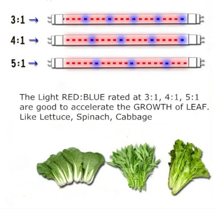 Фитохром 1. Led grow Light инструкция на русском языке. Свет красный фитохрома и синий растения. Фитохром-1 купить.