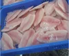 /product-detail/iqf-tilapia-fillet-60554796841.html