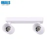 Two Head Gu 10 Downlight Surface Mounted LED Lamp Dimmable Down Light