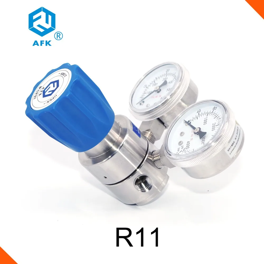 Stainless Steel High Pressure Regulator 6000 Psi Inlet With Two Gauge