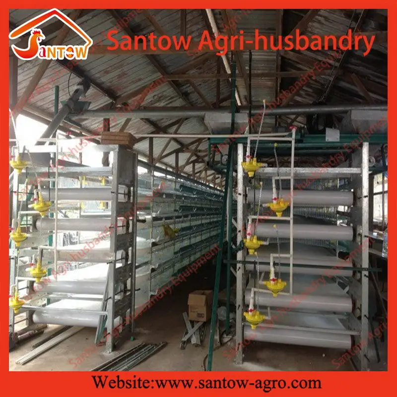 European Style Quail Cage 019
