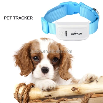 dog collar tracking system