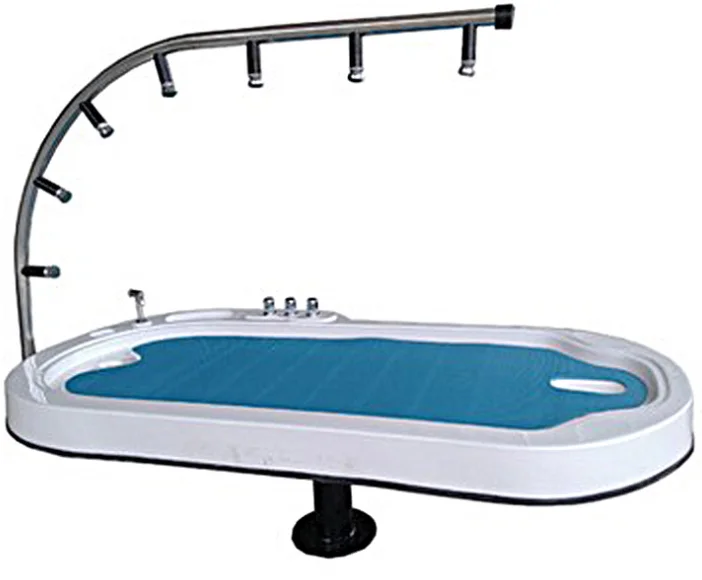 High Quality Spa Massage Virhy Water Jet Bed For Sale Buy Water Jet