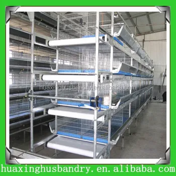 Professional Strong Automatic Quail Cages And Equipment - Buy Quail