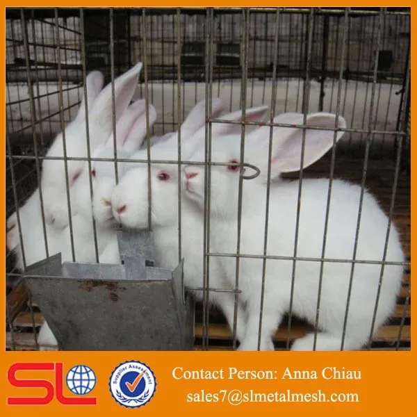 Rabbit farming business plan doc image