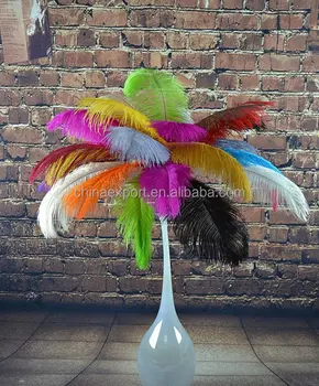 colored ostrich feathers wholesale