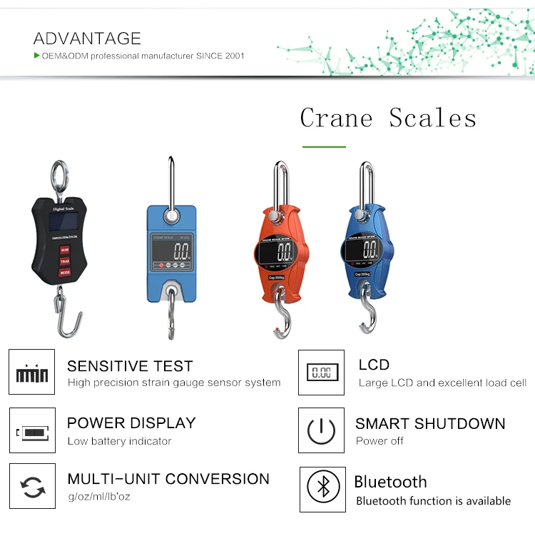 Manual Mechanical Digital Weighing Crane Scale Sf912 Buy Crane Scale