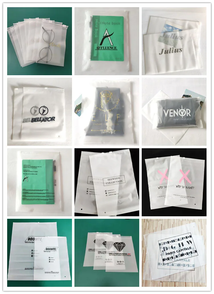 Translucent Pvc Clear Plastic Bags Design Zipper Bags Logo Frosted Poly
