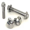 carbon steel with different finishes roll bolt