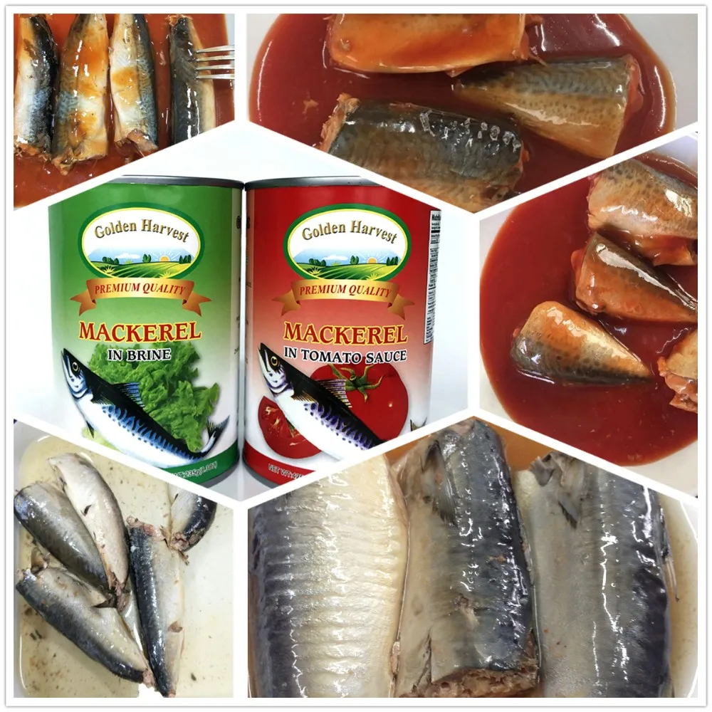 canned fish canned mackerels in vegetable oil