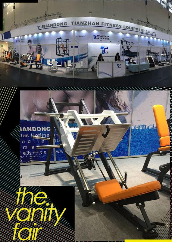 FIBO.jpg