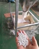 2018 hot sale India PVC granulating line/hot cutting pelletizing device/compound pvc granules making machine