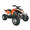 250 atv quad bike with CE