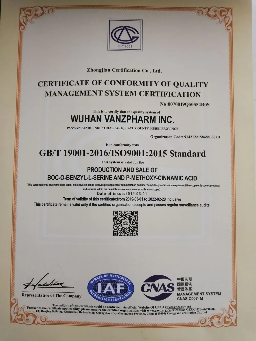 100% natural pancreatic enzymes / pancreatin