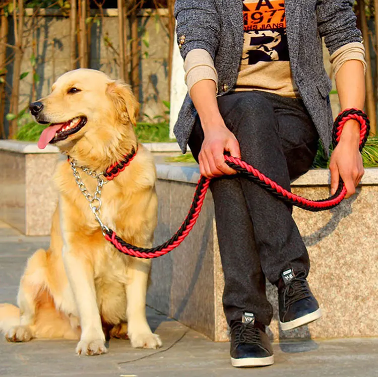 large dog leashes.jpg