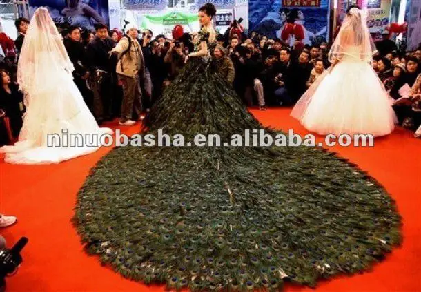 wedding-peacock.jpg