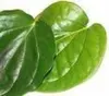 Bettle Leaf,Bettle Nut,Alovera,Raw Turmeric & Turmeric powder,Chilly powder