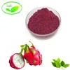 100% Natural Dragon Fruit Powder/Red Dragon Fruit Powder/Dragon Fruit Extract Powder