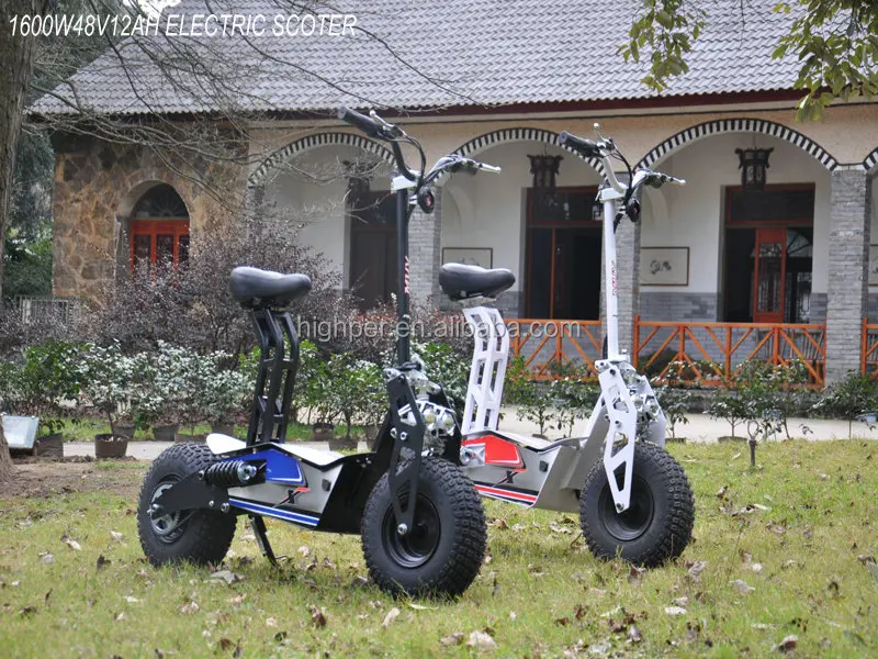 X-SCOOTER 2_.jpg