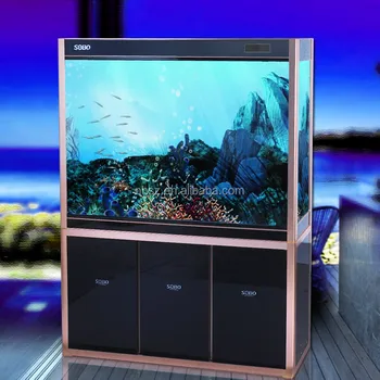 940 Koleksi Desain Filter Aquarium Arwana Gratis Terbaru