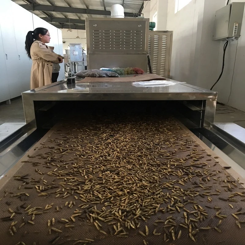 2019 china full automatic industrial microwave pet