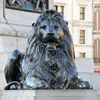 /product-detail/large-bronze-lion-statues-outdoor-for-sell-62061456166.html