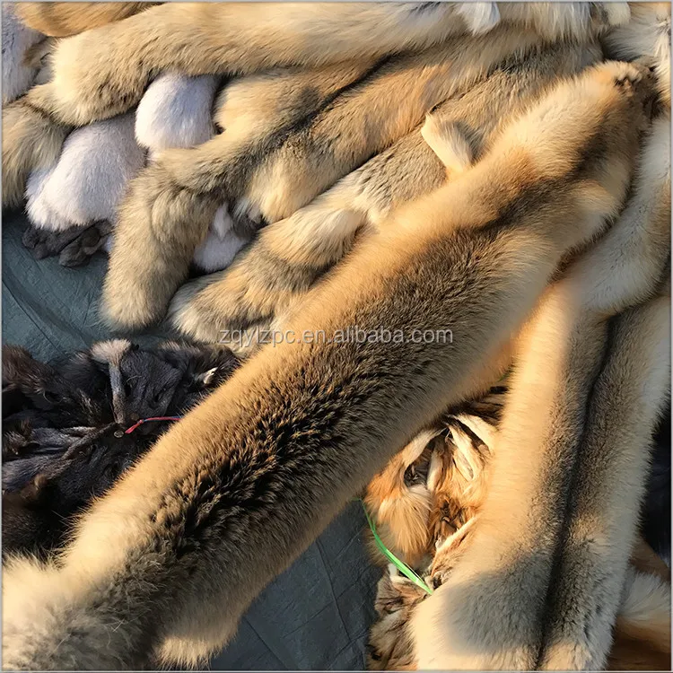 Fox skin01.jpg
