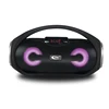 Speaker manufacture with USB/SD/FM /Remote/LED display 4"x2 speaker unit 30w output speaker with mic