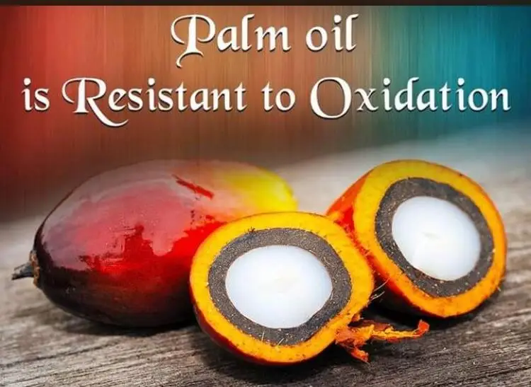 Small Palm Oil Refinery Machine/palm Oil Processing Plant Cost/ Palm