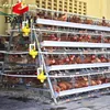 Galvanized Chicken Farm Layer Cages For Sale in Zimbabwe Indoor Animal Cages Bird Chicken