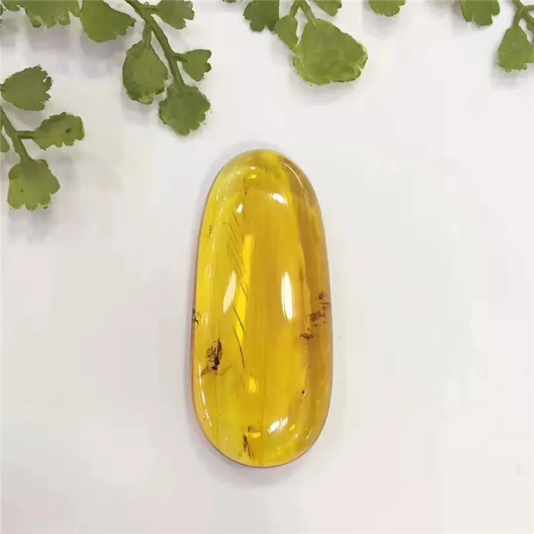 

Mexico natural entire insect oval yellow amber loose stone ring necklace pendant dual use