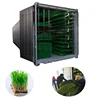 High Output Goat Animal Feed Barley Wheat Hydroponic Fodder Machine | Container Type Hydroponic Barley Fodder System