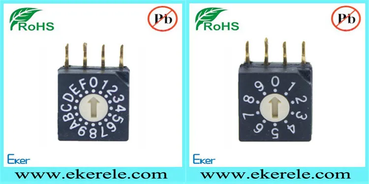 RS40010R 4+1 Pins Thru-hole Type Flat Rotor Real BCD Code 10 Position Rotary Dip Switch