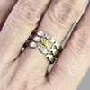 Lucky Fish Group Hollow Out Open Rings for Women Fashion Brand Cute Girls Animal Finger Ring Cocktail Party Jewelry Bague