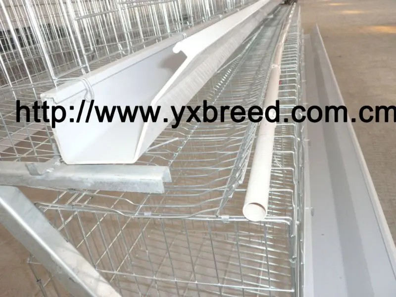 broiler battery cage system made in china for chicken pouultry farm