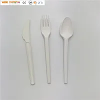 

Biodegradable Compostable Disposable CPLA Cutlery
