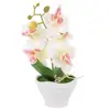 New design small artificial Phalaenopsis plant fake tree topped artificial white flowers bonsai for home