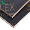 Import timber 17mm construction used film faced plywood