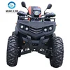 /product-detail/250cc-300cc-atv-4x4-hot-selling-atv-soccter-trike-62213400411.html