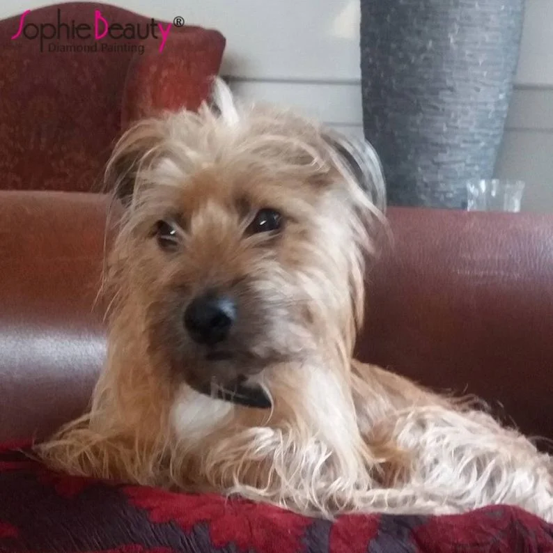 Wholesale Cartoon 5D Diamond P