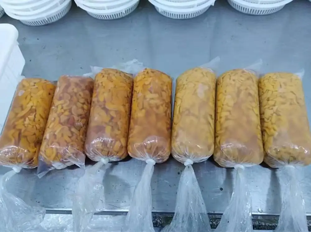 
Sea urchin export transport fast 