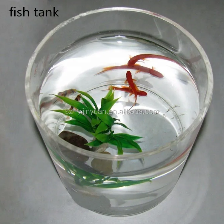 Small Rectangle Clear Acrylic Aquarium Fish Tank Wholesale Best Selling Clear Acrylic Tabletop