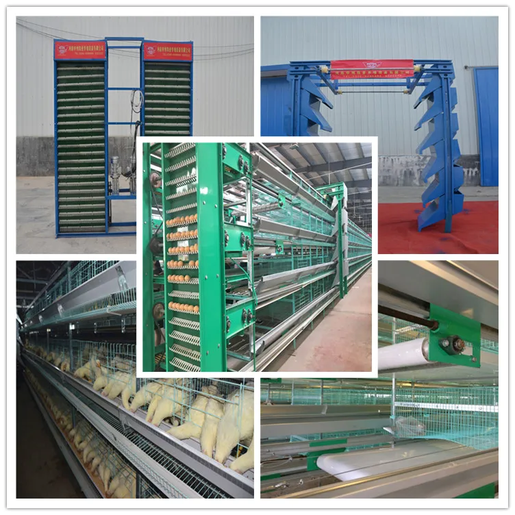 egg layer chicken cage details.jpg