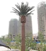 SJH0831016 artificial date palm trees medjool date palms