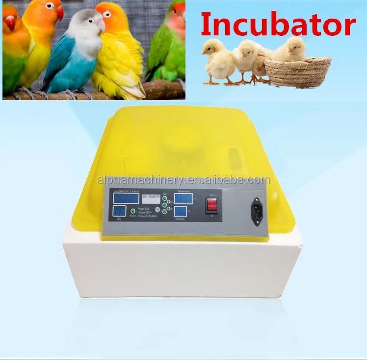 chicken incubator for sale