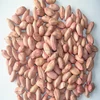 Chinese peanut kernels.
