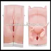 HOT SALES advanced female contraception guidance model genital model
